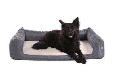 Hundebetten